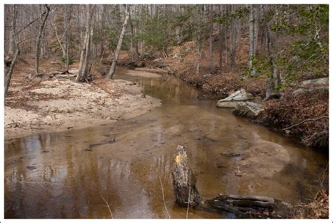 Beaver Lake Trail – Virginia Trail Guide