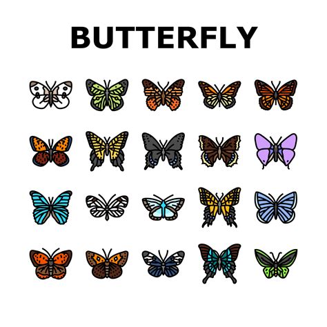 Butterfly Summer Spring Insect Icons Set Vector Vector Art At