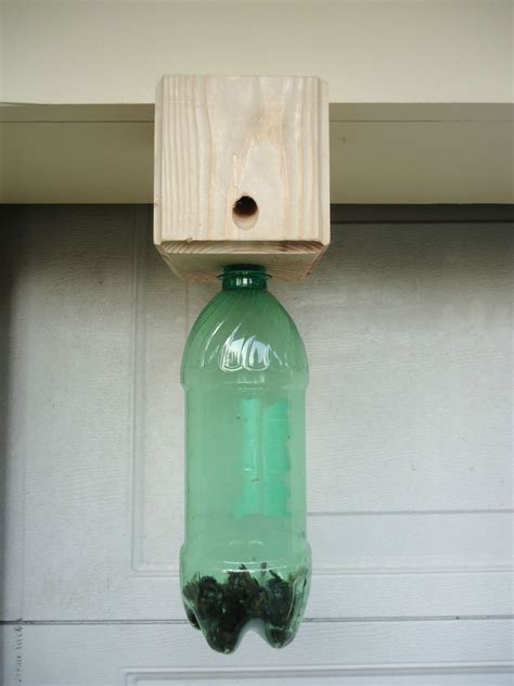 How Build A Carpenter Bee Traps