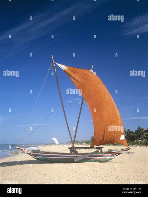 Asia Sri Lanka Negombo Negombo Beach Traditional Outrigger Fishing