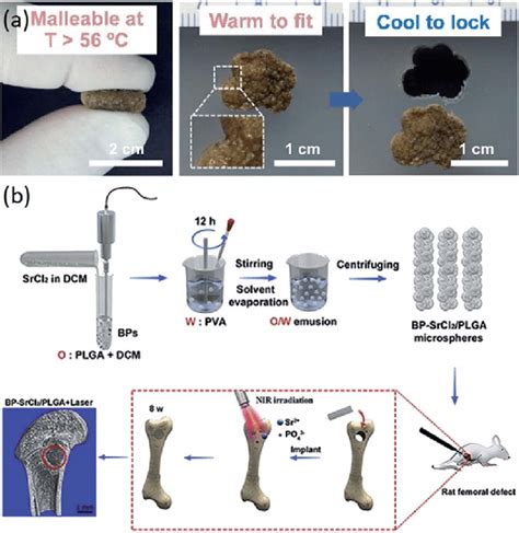 Functional composite bone tissue engineering scaffolds. (a) Effect of ...