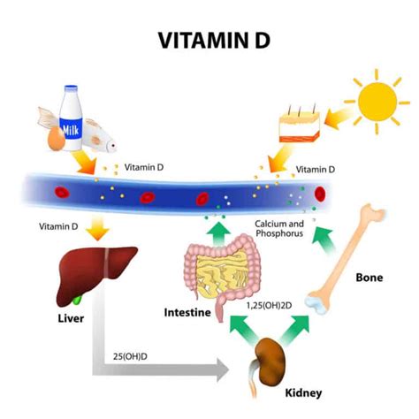 【維他命d功效】嬰兒補充維他命d勿過量 Delish Wellness