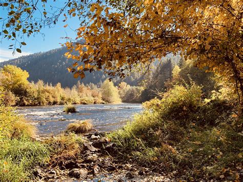 Fall on the Rogue River | The Rogue River is located in sout… | Flickr