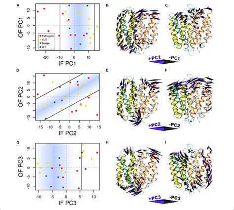 Variants Alter Conformational Dynamics The Conformational Dynamics