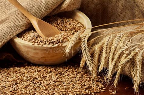 Whole Grains Collection Stock Image Image Of Rice Basmati 16782673