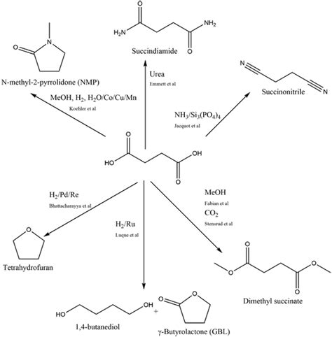 The Chemical Structure Of Succinic Acid And A Selection Of Conversions