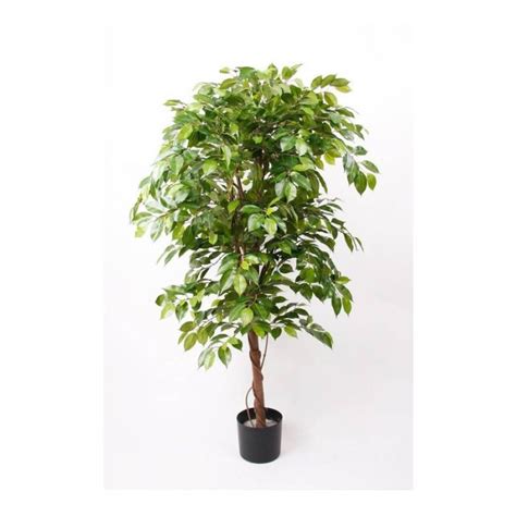 Acheter Des Ficus Benjamina Artificiel BARTOLO Vrai Tronc Vert 170cm