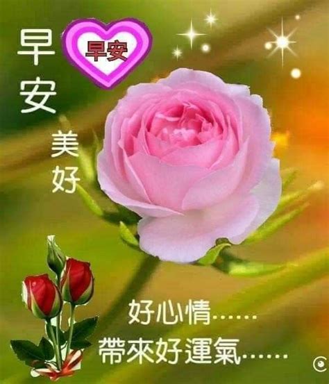 Pin By May On Good Morning Wishes Chinese Good Morning Greetings Good Morning Wishes