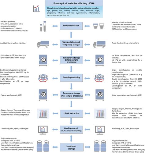 The Impact Of Preanalytical Variables On The Analysis Of Cell Free DNA