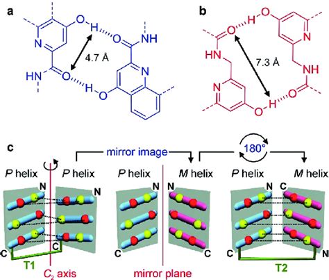 Hydrogen Bonding Patterns Involving X A And Y B Units Download Scientific Diagram