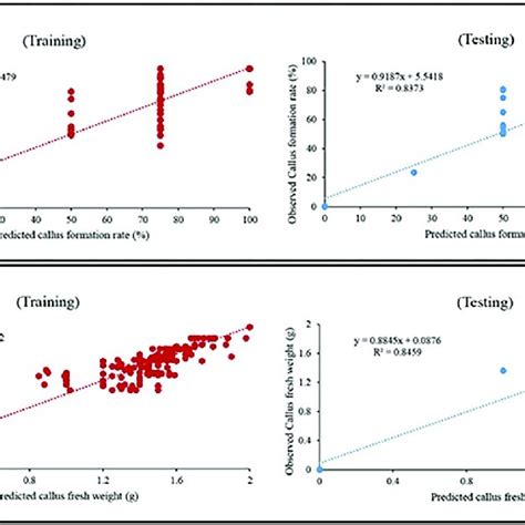 Scatter Plot Of Observed Vs Predicted Values Of A Callus Formation