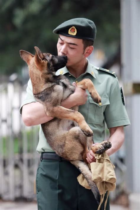 杨烁神犬奇兵剧照第2页大山谷图库