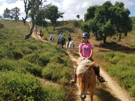 Meike´s Horsetrails – Horse Riding Center Portugal offers Riding ...