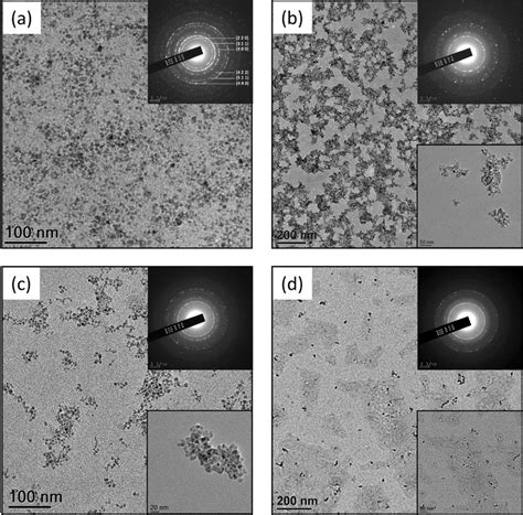 Transmission Electron Microscopic Tem Images Of The Uncoated And Peg