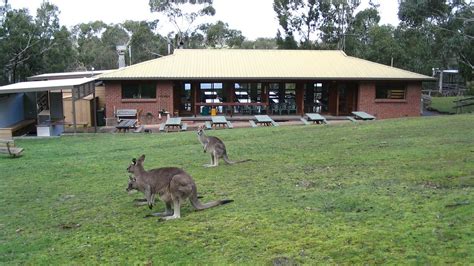 Camps — Coldstream Primary School