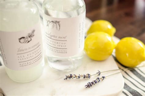 DIY Tutorial: Make Your Own DIY Household Cleaning Sprays | Capitol ...
