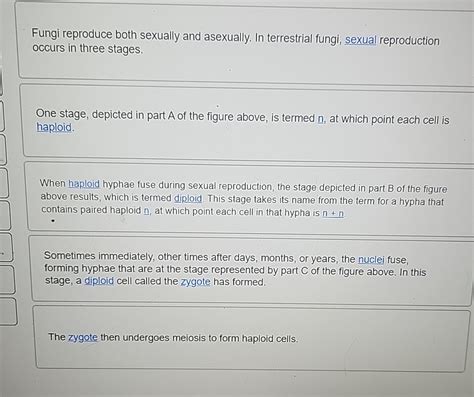 Solved Fungi reproduce both sexually and asexually. In | Chegg.com 