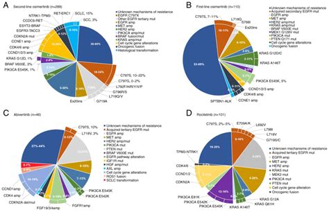 Mechanisms And Management Of Rdgeneration Egfrtki Resistance In