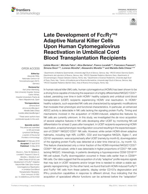 Pdf Late Development Of Fcεrγneg Adaptive Natural Killer Cells Upon