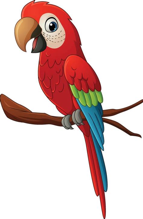 Parrot Clipart Vector Art, Icons, and Graphics for Free Download