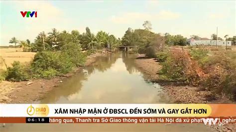 Chào buổi sáng 07 10 2023 Xâm nhập mặn ở ĐBSCL đến sớm và gay gắt hơn
