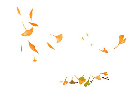 Fallen Leaves Png Transparent Fallen Leaves Leaves Leaf Png Image