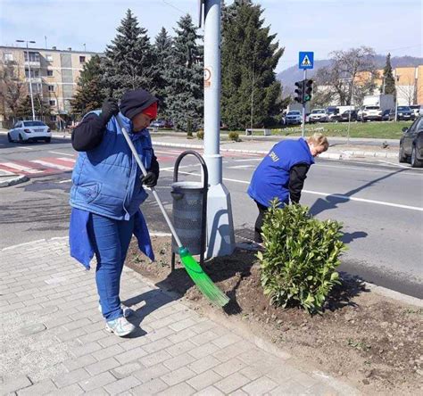 Program De Colectare A De Eurilor Vegetale N Baia Mare Graiul