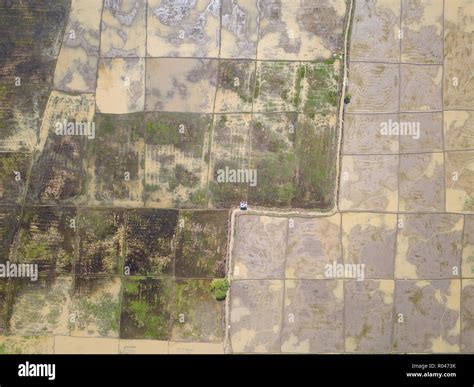 An aerial landscape of paddy field ready to be for paddy planting Stock ...