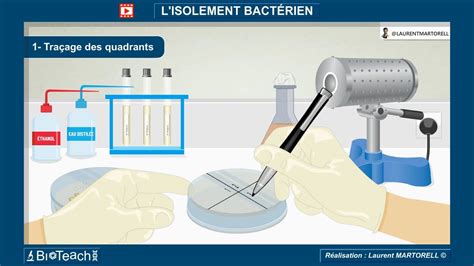 Tout savoir et comprendre sur la technique d isolement méthode des