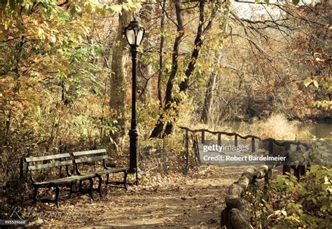 walk  central park high res stock photo getty images