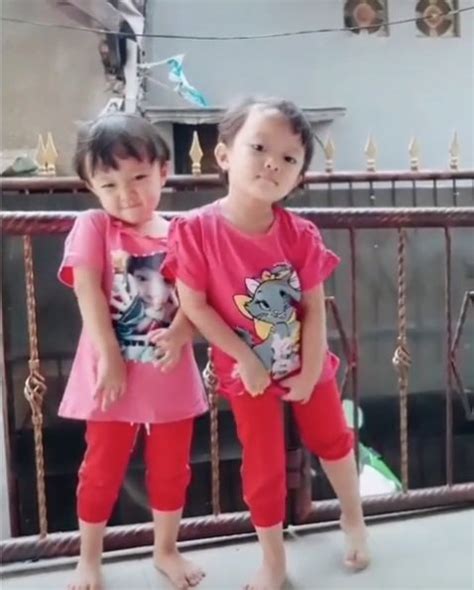 Anak Kembar Joget Tiktok