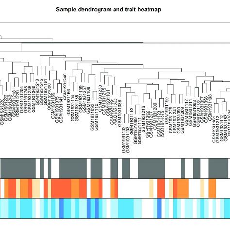 Dendrogram Of Sample Clustering And Heatmap Of Clinical Traits Of All