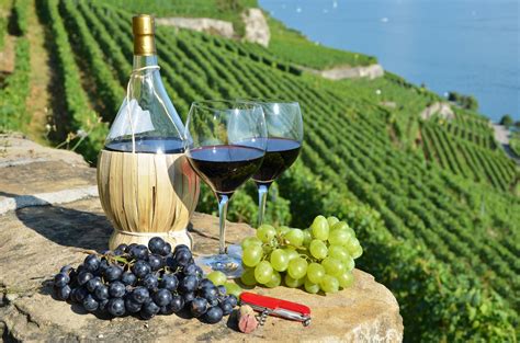 Top 30 must visit wineries in Italy – Wine International Association WIA