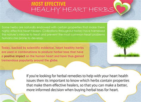 7 Herbs That Help Your Heart Dr Sam Robbins