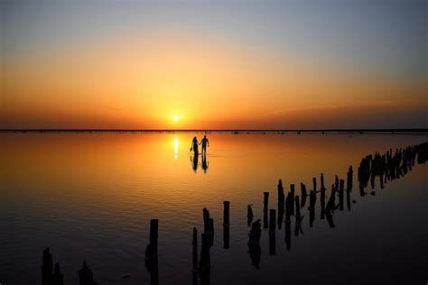 Premium Photo Couple With A Bouquet On A Pink Lake Sunset And Reflection In The Water