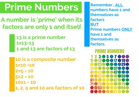 Prime Numbers Explainer Teaching Resources