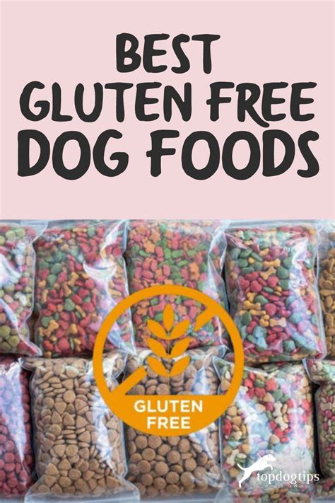 The Best Gluten Free Dog Food Brands for Dogs with Gluten Sensitivity