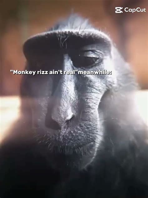 Monkey Rizz🗿🐵🐒 Youtube