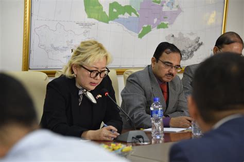Зэс, цагаан тугалга, төмрийн хүдэр импортлох боломжтой гэв