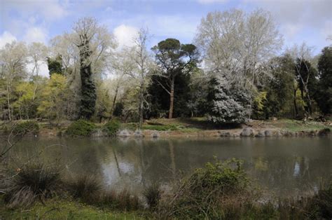 Fiume Morto Nuovo 2 Parco San Rossore