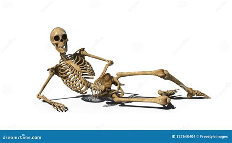 Funny Skeleton Laying On Ground And Smiling Human Skeleton Isolated On