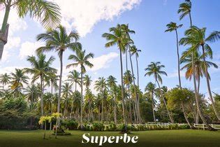 Lola Johnson Collection Luscious Hentai Manga Porn