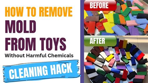 How To REMOVE MOLD From TOYS Easily Clean Disinfect Toys Without