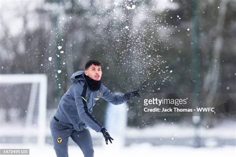 Snowball Photos And Premium High Res Pictures Getty Images