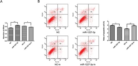 Effect Of Mir P On Htr Svneo Cells Proliferation And Apoptosis