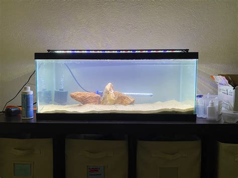 Panther Crab Tank General Chat Aquarium Co Op Forum
