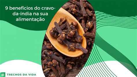 9 benefícios do cravo da índia na sua alimentação Trechos da Vida