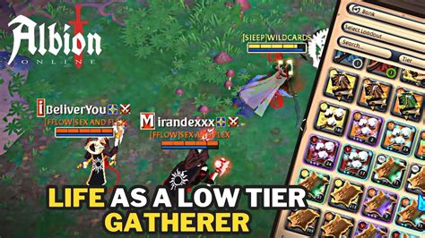 Gank And Gather Till I Am A Full Tier Gatherer Albion Online Solo