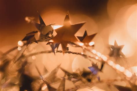 Fondos de pantalla luz de sol rama Navidad ligero árbol otoño