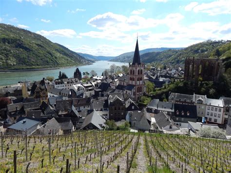 wandern-stahlberg-schleife-bacharach-mittelrheintal-120 - Freiweg ...